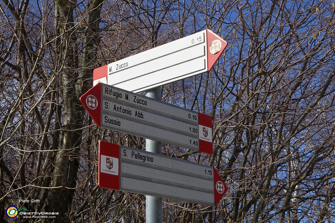 36 15' in decisa  salita per il Monte Zucco.JPG